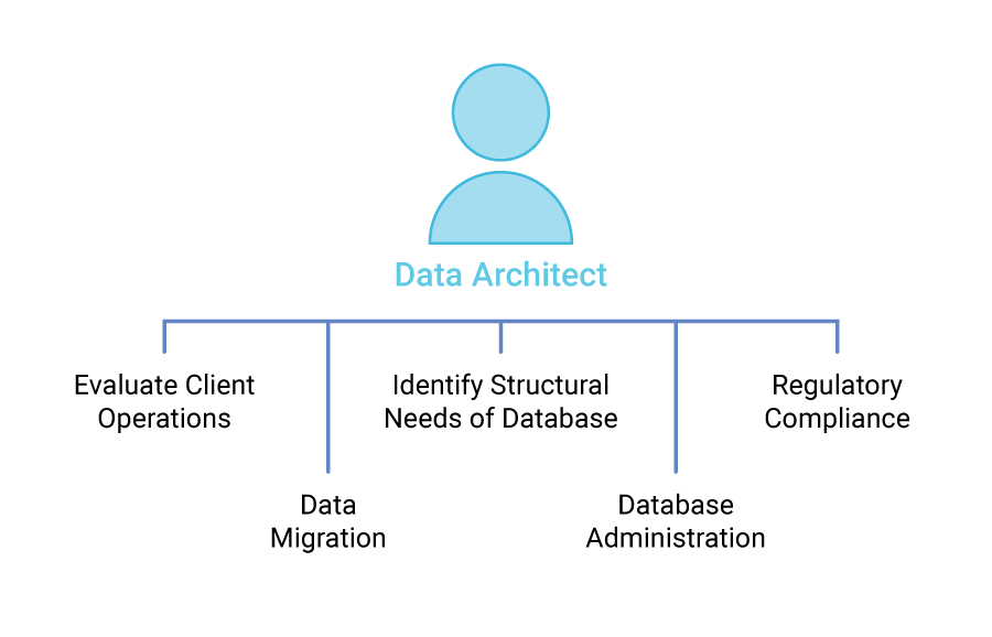 Data Architect Diagram